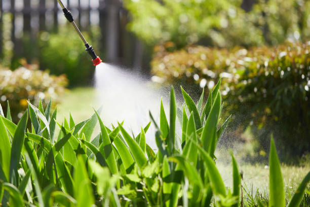 24/7 Emergency Cockroach Control experts in Morgan City, LA
