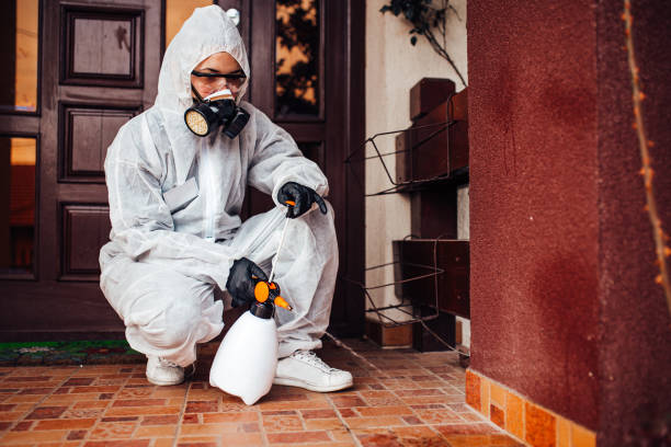 Reliable Cockroach Control contractor in Morgan City, LA by Nex Pest Control