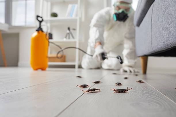 Trusted Fumigation Services service in Morgan City, LA - Nex Pest Control